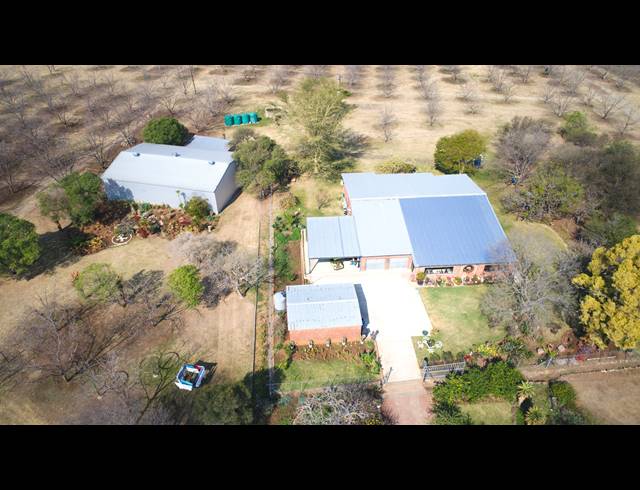 31HA FARM FOR SALE IN WEENEN
